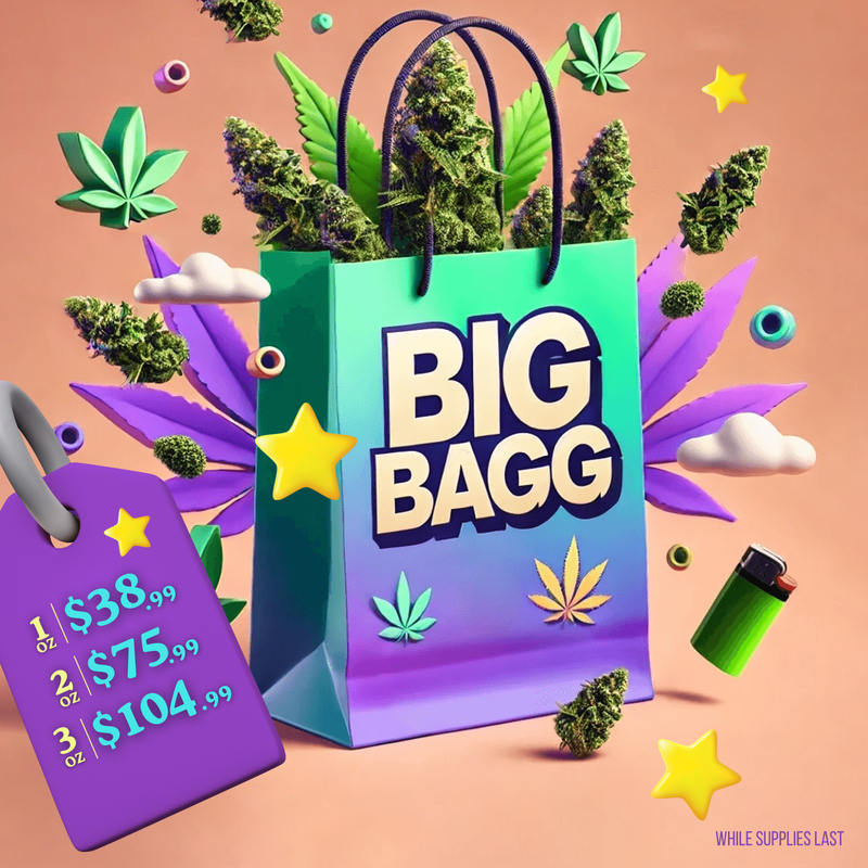 Big Bagg (Promo)