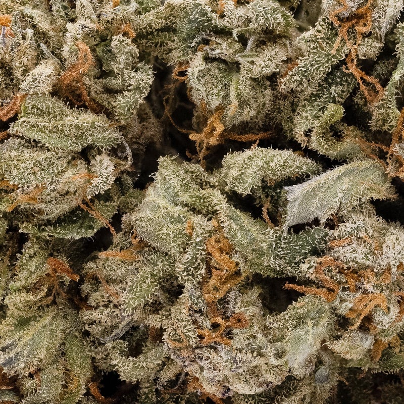Lucky Farms - AK-47