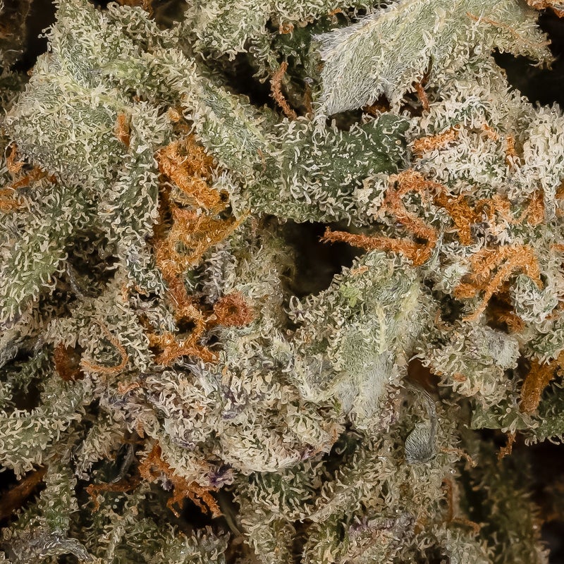 Lucky Farms - AK-47