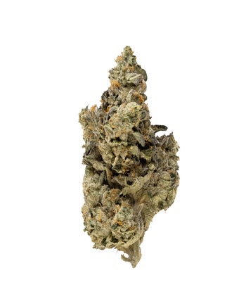 Hoot Cannabis - Rainbow Runtz