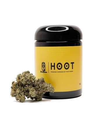 Hoot Cannabis - Rainbow Runtz