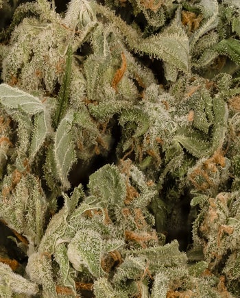 Peoples Choice - Banana Cake (Smalls)