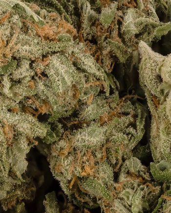 Peoples Choice - Cali Mist (Smalls)