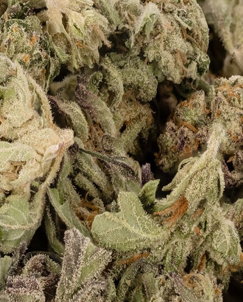 Peoples Choice - Granddaddy Purple (Smalls)
