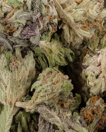 Peoples Choice - Papaya (Smalls)