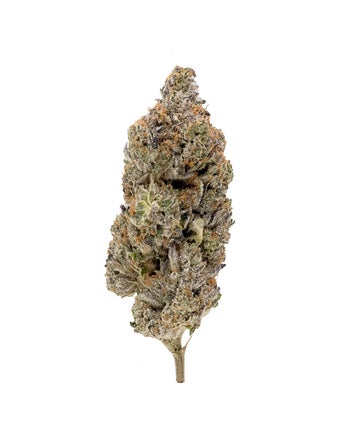 Hoot Cannabis - Pine Tar Kush