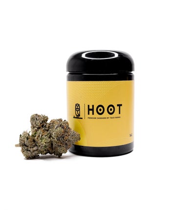 Hoot Cannabis - Pine Tar Kush