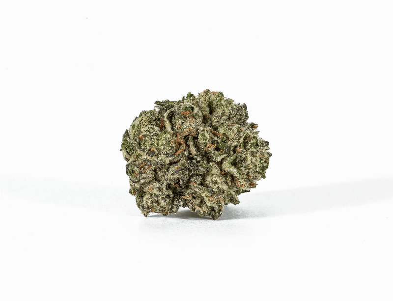 BC Legacy - Pink Champagne (Smalls)