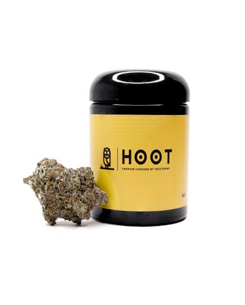 Hoot Cannabis - Purple Pineapple