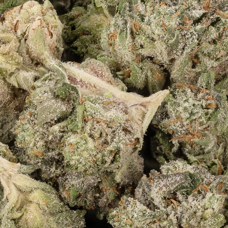 Lucky Farms - Runtz (Smalls)
