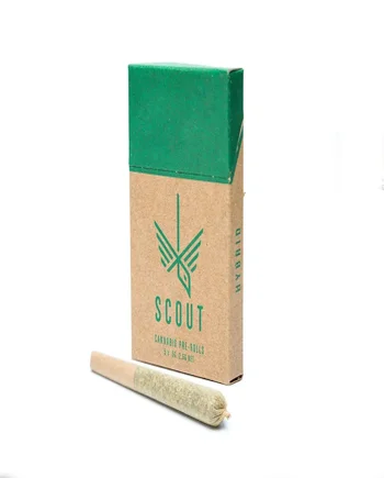 Scout - Pre-Rolls (5 x 0.5g Pack)