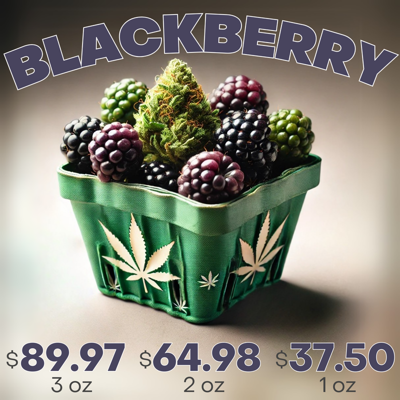 Blackberry (Promo)