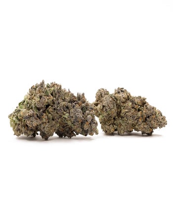 Fun Buds - Vice City