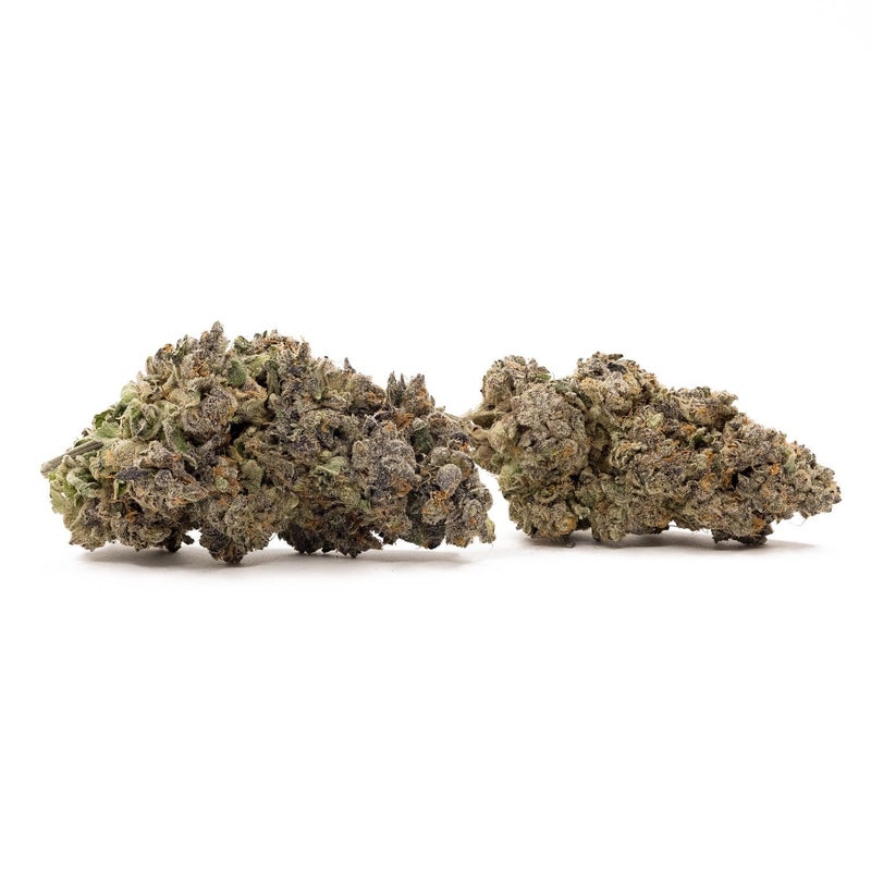 Fun Buds - Vice City