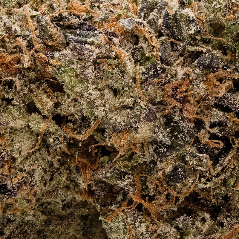 Merry Jane - MK Ultra