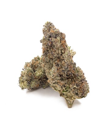 Merry Jane - MK Ultra