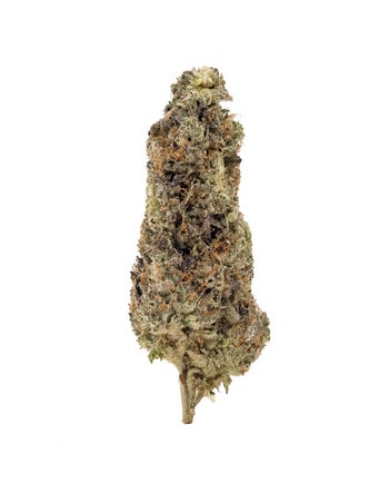 Merry Jane - MK Ultra