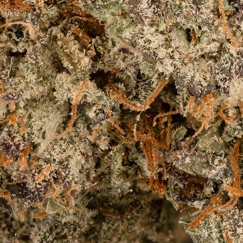 Merry Jane - MK Ultra
