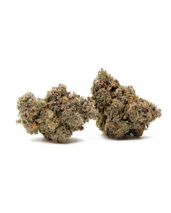 Jungle Ridge - Rainbow Chip