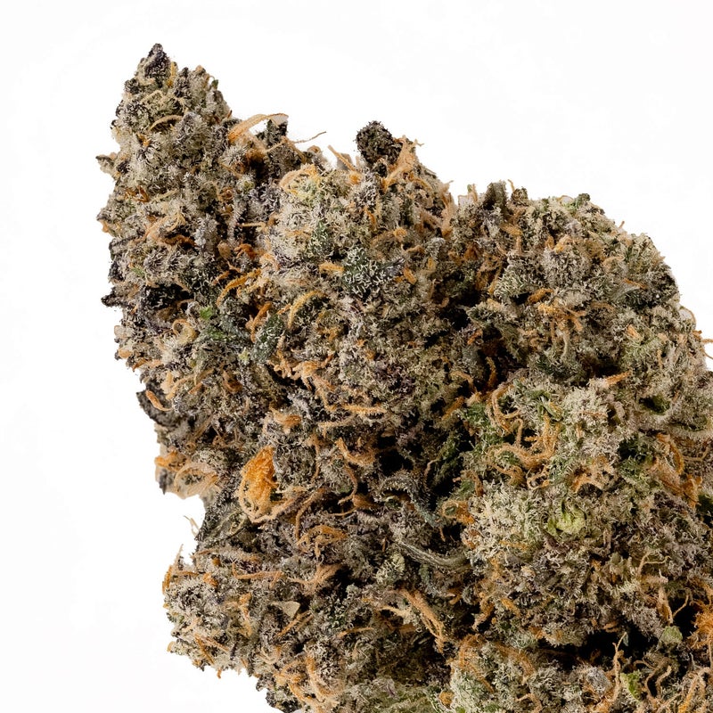 Jungle Ridge - Rainbow Chip