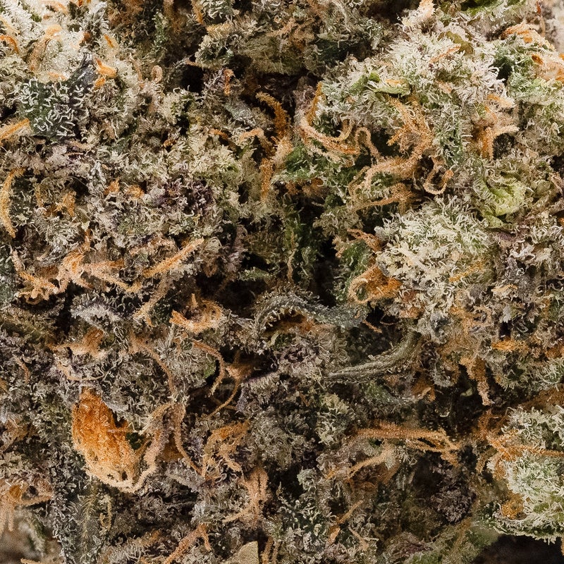 Jungle Ridge - Rainbow Chip