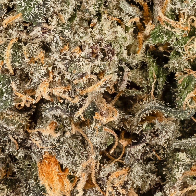 Jungle Ridge - Rainbow Chip