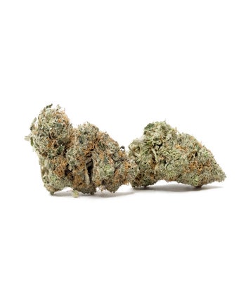 Okanaganja - Truffle Monkey