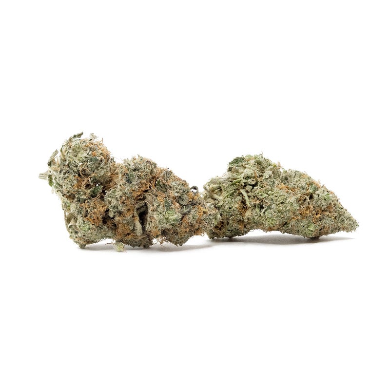 Okanaganja - Truffle Monkey