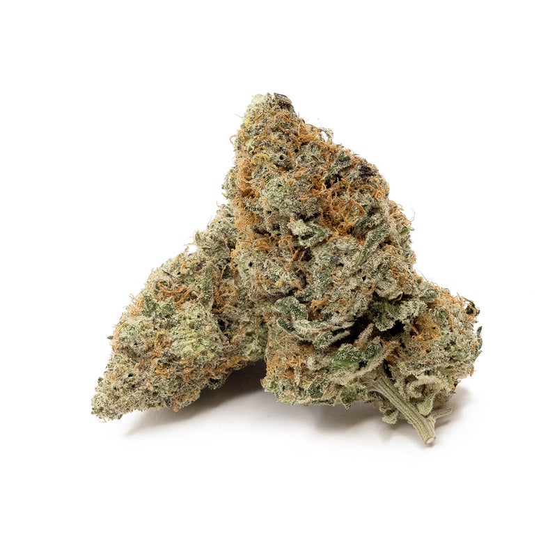 Okanaganja - Truffle Monkey