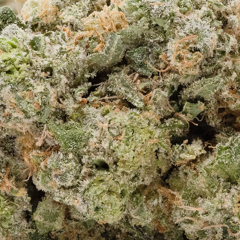 Vibrant Cannabis - Twizzle Dance