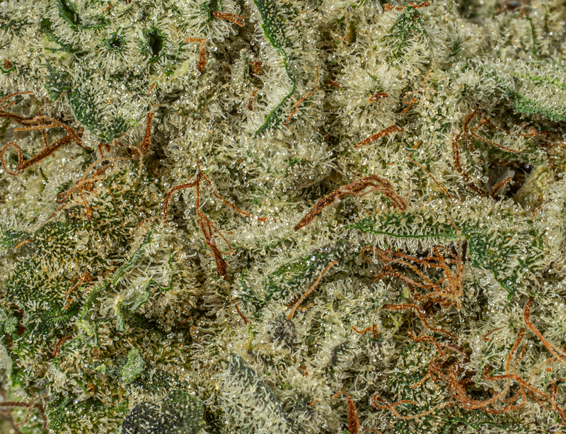 Astral Herb - Slurricane