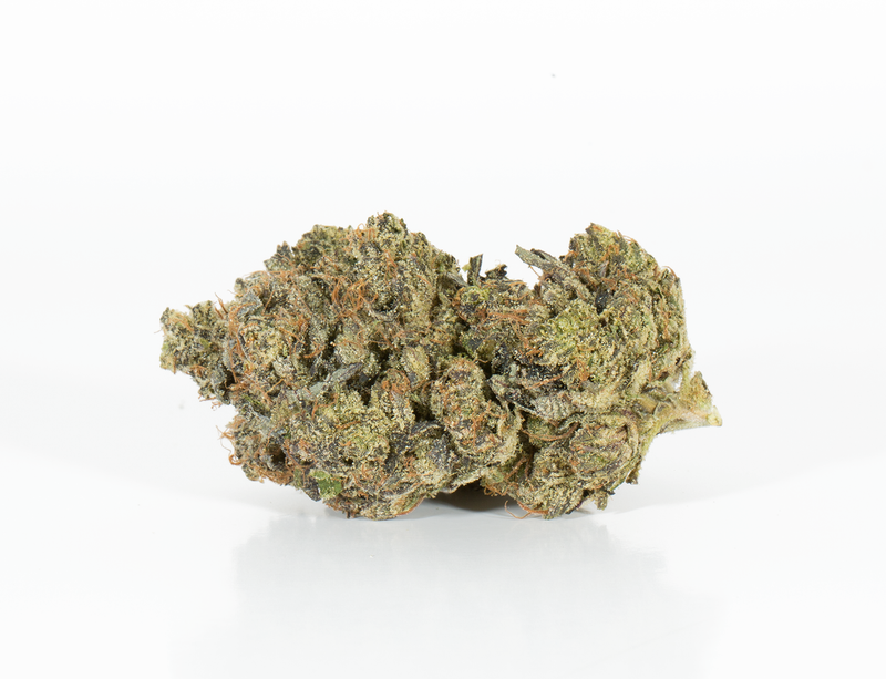 BC Legacy - Master Bubba
