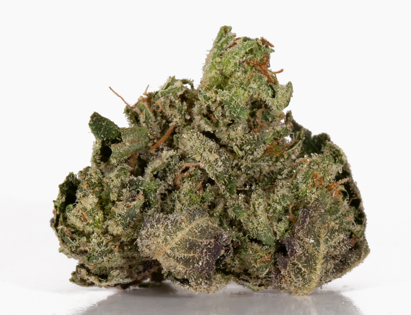 BC Legacy - Rockstar