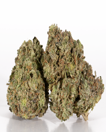BC Legacy - Rockstar