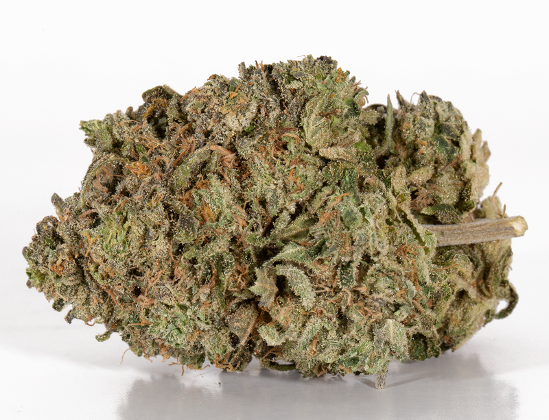 BC Legacy - Rockstar