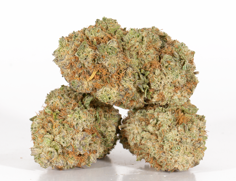 BC Legacy - Yoda OG