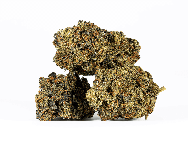 Astral Herbs – Black Afghani