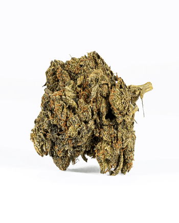 Astral Herbs – Black Afghani