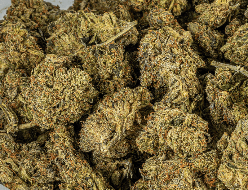 Astral Herbs – Black Afghani