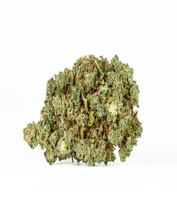 Astral Herbs - Hash Plant