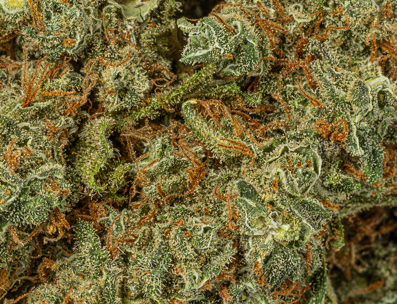 Astral Herbs - Hash Plant