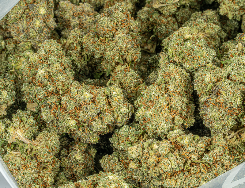 Astral Herbs - Hash Plant