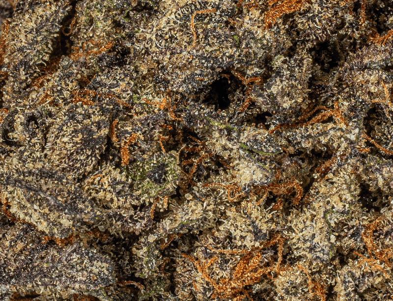 Astral Herbs - Sticky Grapes