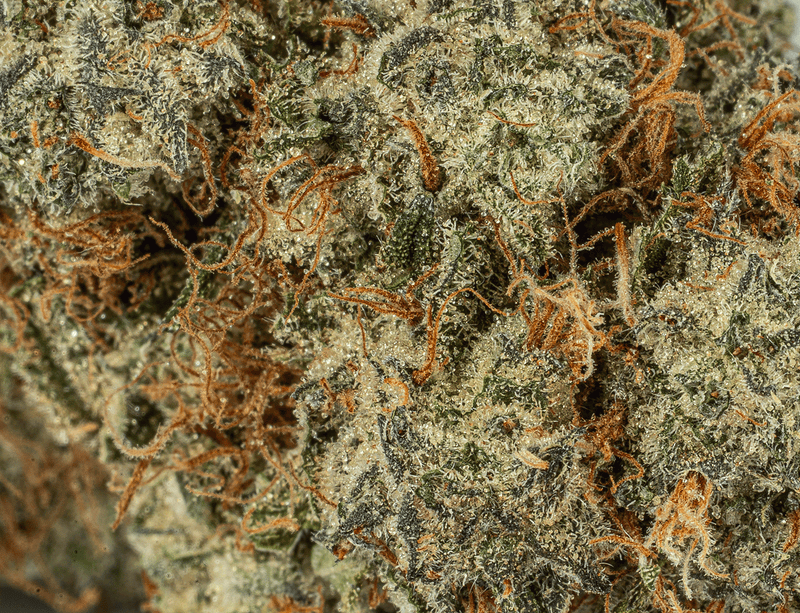 Astral Herbs - Strawberry Cough