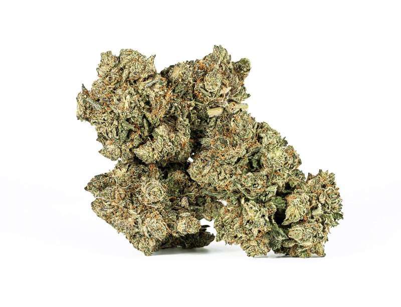 Astral Herb - Purple Kush
