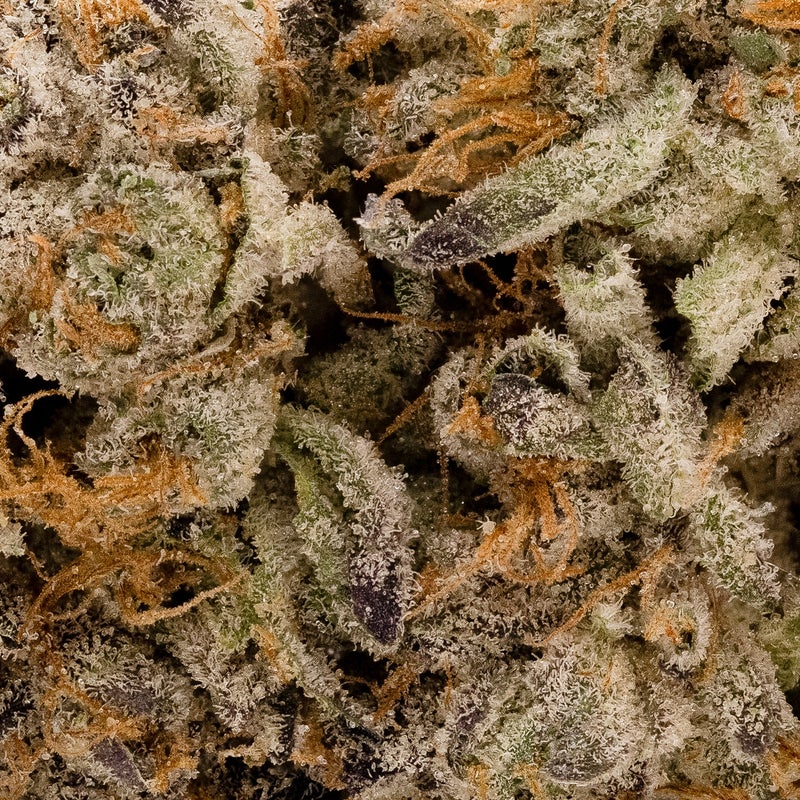 Cream Of The Crop - Animal Mintz