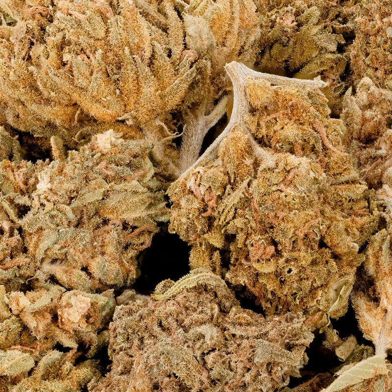 People's Choice - Champagne