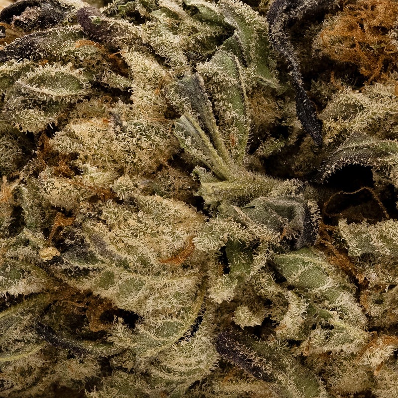 Lucky Farms - Comatose