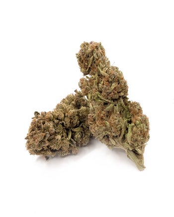 People's Choice - Gas Mask