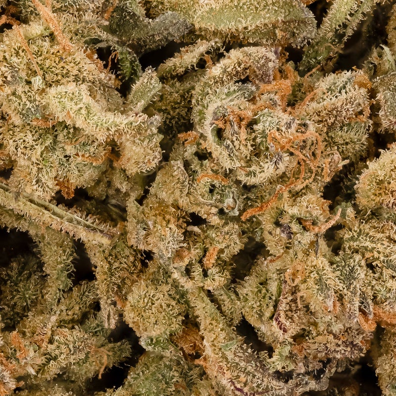 People's Choice - Gas Mask